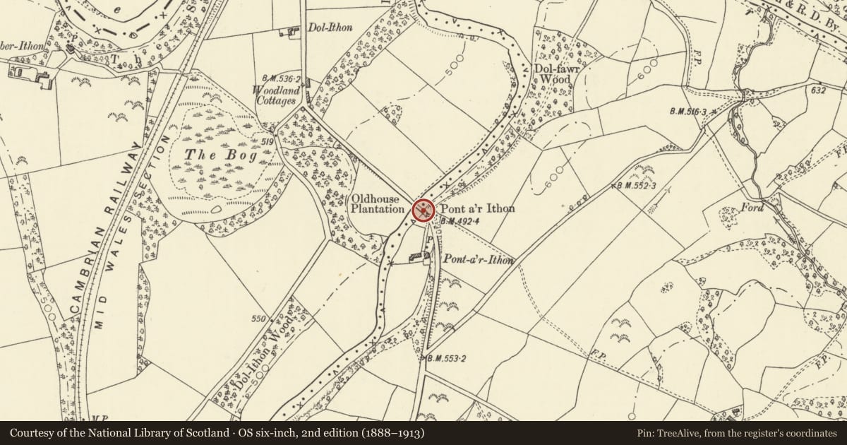 Ordnance Survey six-inch map, 2nd edition (1888–1913) covering the location of Pont ar Ithon (partly in Llanyre), Disserth and Trecoed, Powys, with a pin at the register's coordinates