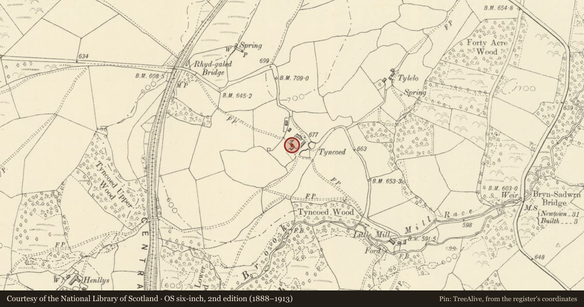 Ordnance Survey six-inch map, 2nd edition (1888–1913) covering the location of Tyncoed, Disserth and Trecoed, Powys, with a pin at the register's coordinates