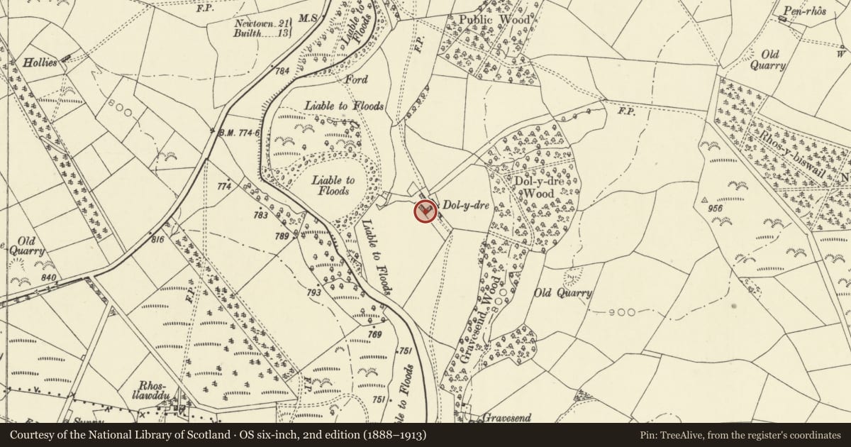 Ordnance Survey six-inch map, 2nd edition (1888–1913) covering the location of Barn and attached cow house at Dolydre Farm, Llanddewi Ystradenny, Powys, with a pin at the register's coordinates