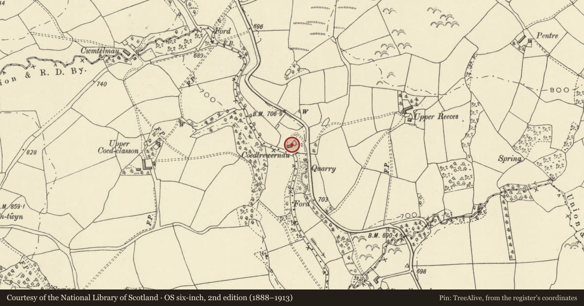 Ordnance Survey six-inch map, 2nd edition (1888–1913) covering the location of Coedtrewernau Mill and attached cottage, Llanddewi Ystradenny, Powys, with a pin at the register's coordinates