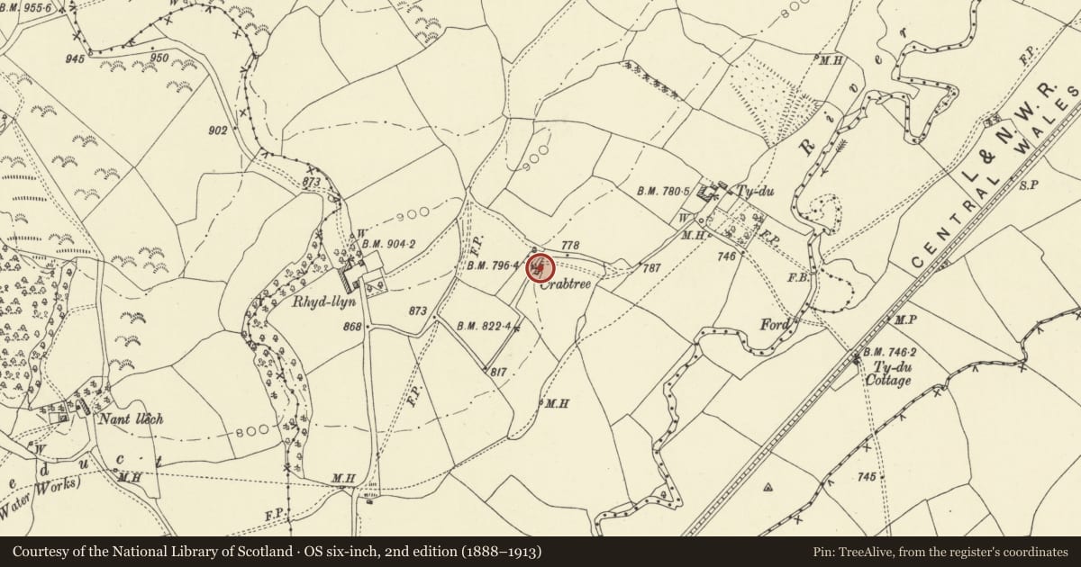Ordnance Survey six-inch map, 2nd edition (1888–1913) covering the location of Crabtree, including attached farm range, Llanddewi Ystradenny, Powys, with a pin at the register's coordinates