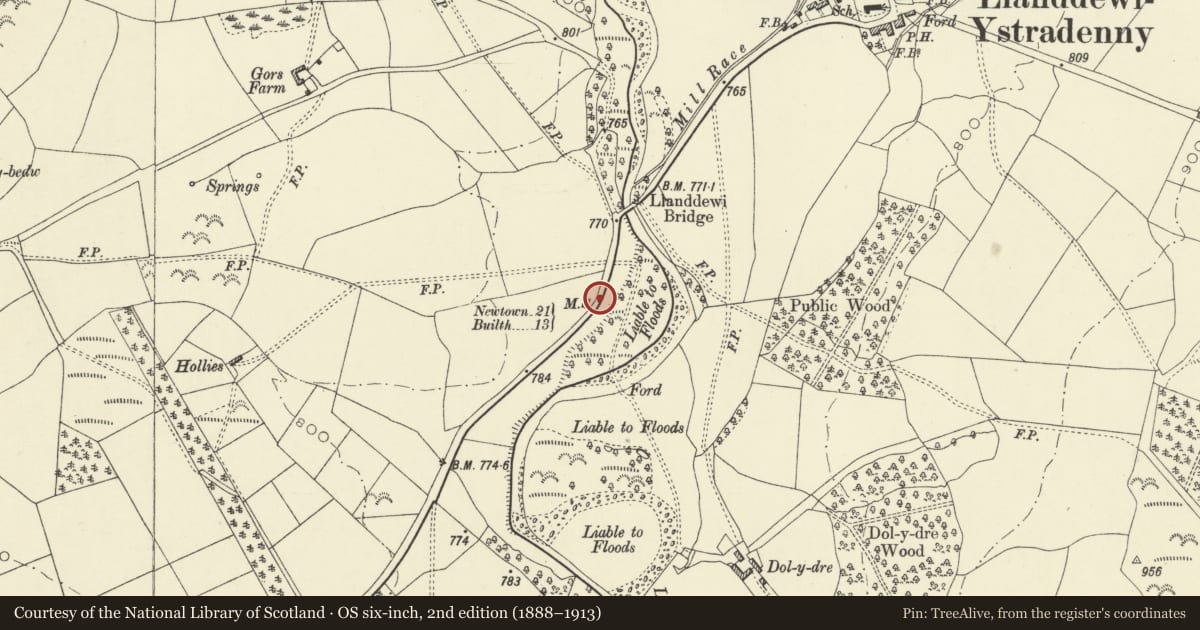 Ordnance Survey six-inch map, 2nd edition (1888–1913) covering the location of Milestone on A483, Llanddewi Ystradenny, Powys, with a pin at the register's coordinates