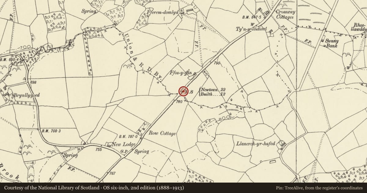 Ordnance Survey six-inch map, 2nd edition (1888–1913) covering the location of Milestone on A483, Llanddewi Ystradenny, Powys, with a pin at the register's coordinates