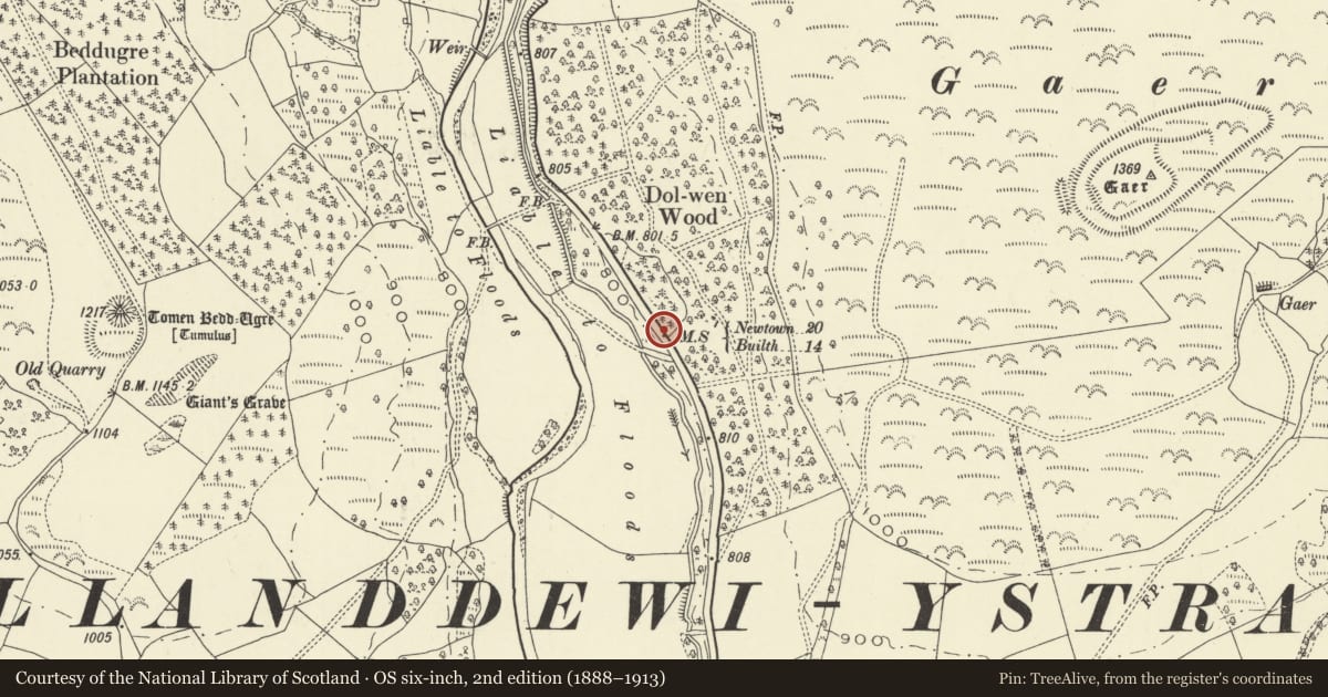 Ordnance Survey six-inch map, 2nd edition (1888–1913) covering the location of Milestone on A483, Llanddewi Ystradenny, Powys, with a pin at the register's coordinates