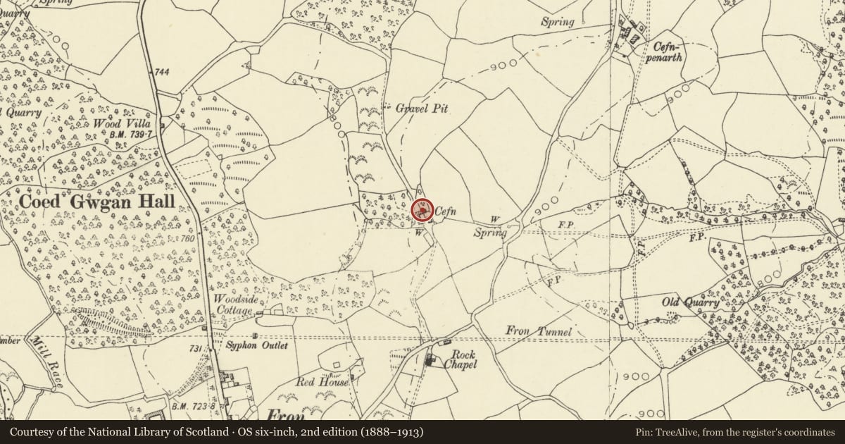Ordnance Survey six-inch map, 2nd edition (1888–1913) covering the location of Cefn Farmhouse, including attached farm range, Llanbadarn Fawr, Powys, with a pin at the register's coordinates