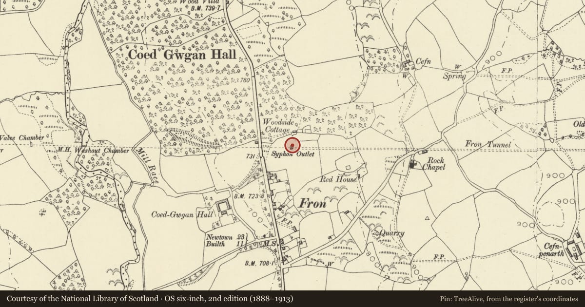 Ordnance Survey six-inch map, 2nd edition (1888–1913) covering the location of Clywedog Siphon outlet house, Llanbadarn Fawr, Powys, with a pin at the register's coordinates