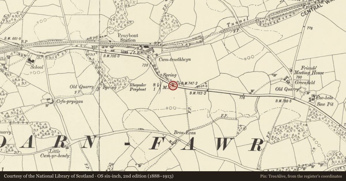 Ordnance Survey six-inch map, 2nd edition (1888–1913) covering the location of Milestone on A44, Llanbadarn Fawr, Powys, with a pin at the register's coordinates