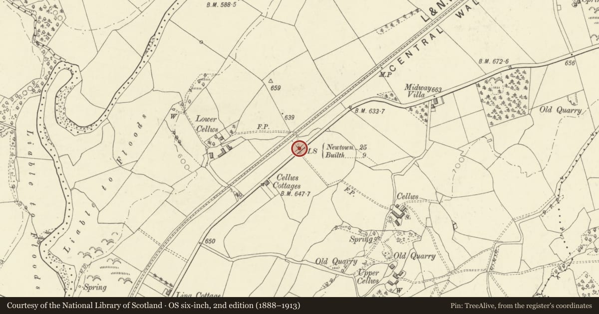 Ordnance Survey six-inch map, 2nd edition (1888–1913) covering the location of Milestone on A483, Llanbadarn Fawr, Powys, with a pin at the register's coordinates