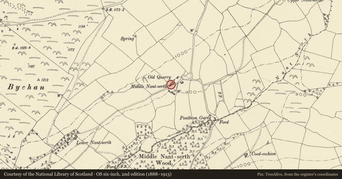Ordnance Survey six-inch map, 2nd edition (1888–1913) covering the location of Barn and cow house at Middle Nantserth, St. Harmon, Powys, with a pin at the register's coordinates