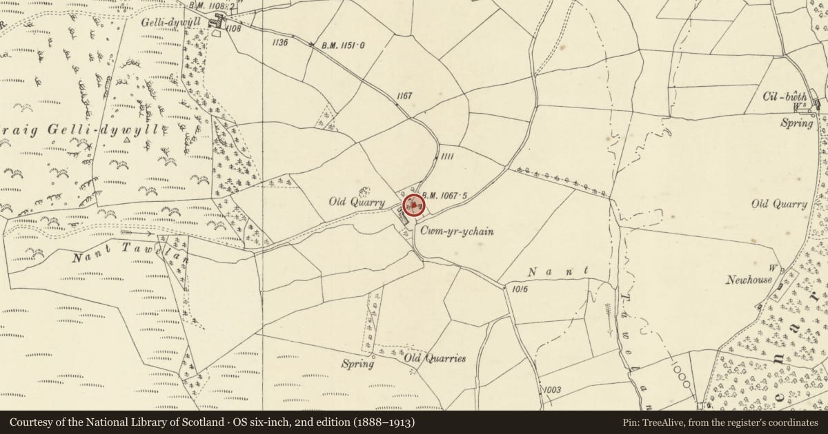 Ordnance Survey six-inch map, 2nd edition (1888–1913) covering the location of Cwmyrychen, St. Harmon, Powys, with a pin at the register's coordinates