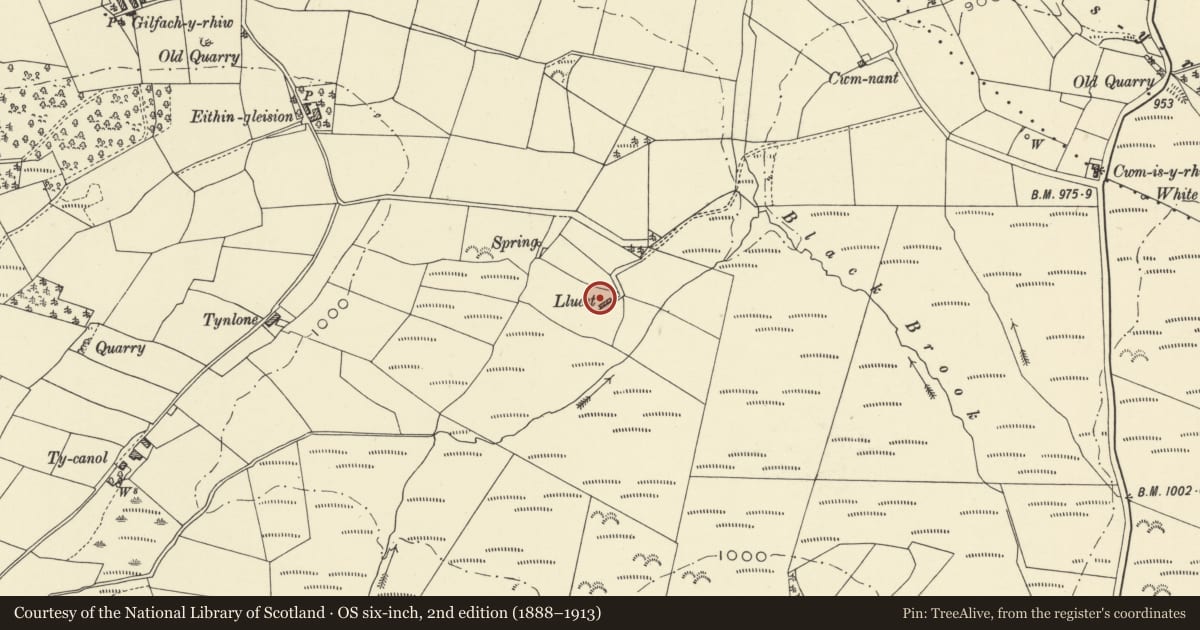 Ordnance Survey six-inch map, 2nd edition (1888–1913) covering the location of Lluest, including attached cow house, St. Harmon, Powys, with a pin at the register's coordinates