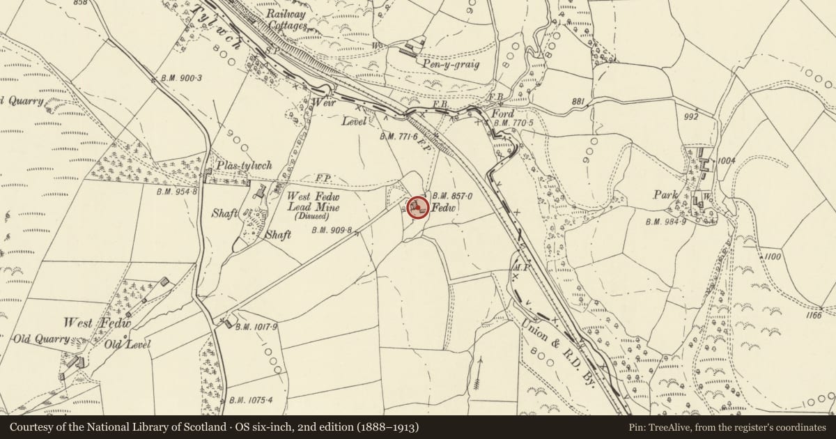 Ordnance Survey six-inch map, 2nd edition (1888–1913) covering the location of Lower Fedw, St. Harmon, Powys, with a pin at the register's coordinates
