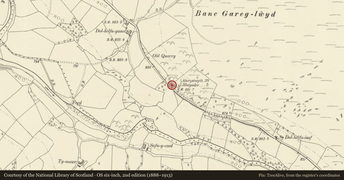 Ordnance Survey six-inch map, 2nd edition (1888–1913) covering the location of Milestone on A470, St. Harmon, Powys, with a pin at the register's coordinates