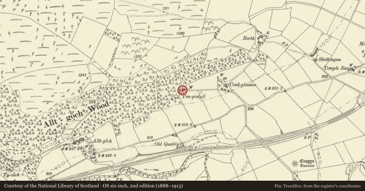 Ordnance Survey six-inch map, 2nd edition (1888–1913) covering the location of Stable at Pen-Pistyll, St. Harmon, Powys, with a pin at the register's coordinates