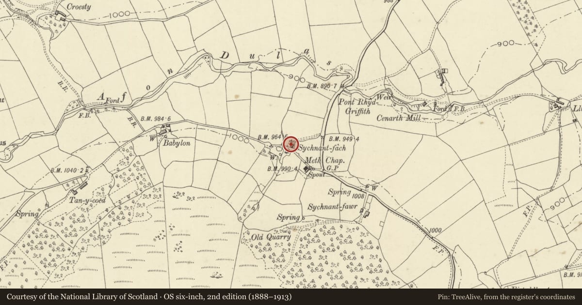 Ordnance Survey six-inch map, 2nd edition (1888–1913) covering the location of Sychnant Fach, St. Harmon, Powys, with a pin at the register's coordinates