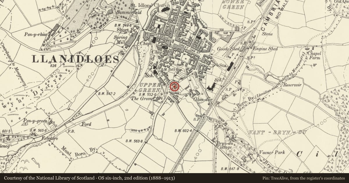Ordnance Survey six-inch map, 2nd edition (1888–1913) covering the location of Smithfield House, Llanidloes, Powys, with a pin at the register's coordinates