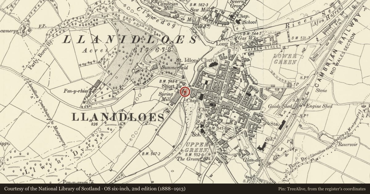 Ordnance Survey six-inch map, 2nd edition (1888–1913) covering the location of 1 Highgate Terrace, Llanidloes, Powys, with a pin at the register's coordinates