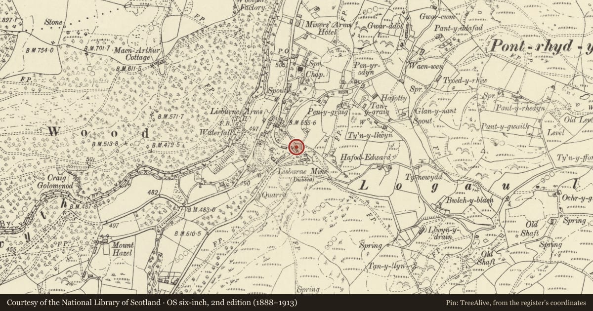 Ordnance Survey six-inch map, 2nd edition (1888–1913) covering the location of Bronheulog, Ysbyty Ystwyth, Ceredigion, with a pin at the register's coordinates