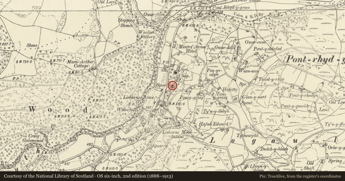 Ordnance Survey six-inch map, 2nd edition (1888–1913) covering the location of Bronygraig, Ysbyty Ystwyth, Ceredigion, with a pin at the register's coordinates