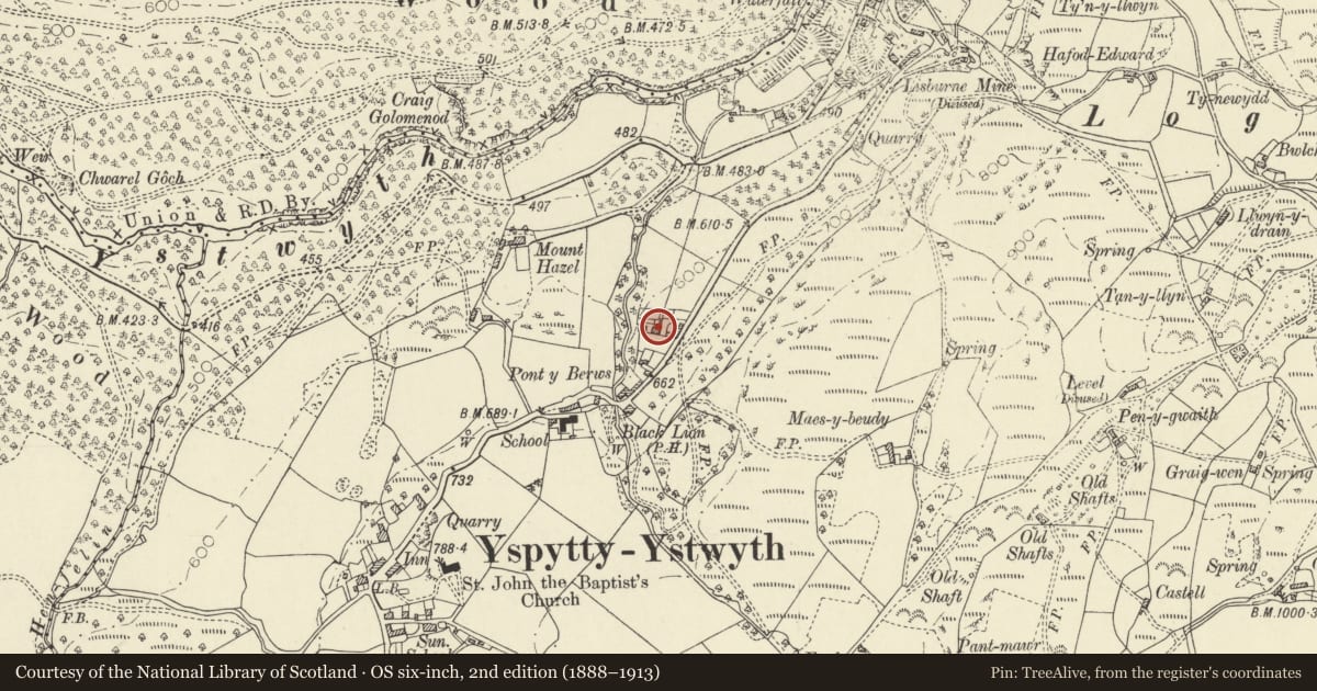 Ordnance Survey six-inch map, 2nd edition (1888–1913) covering the location of Cottage and outbuilding at Glyn Berws, Ysbyty Ystwyth, Ceredigion, with a pin at the register's coordinates