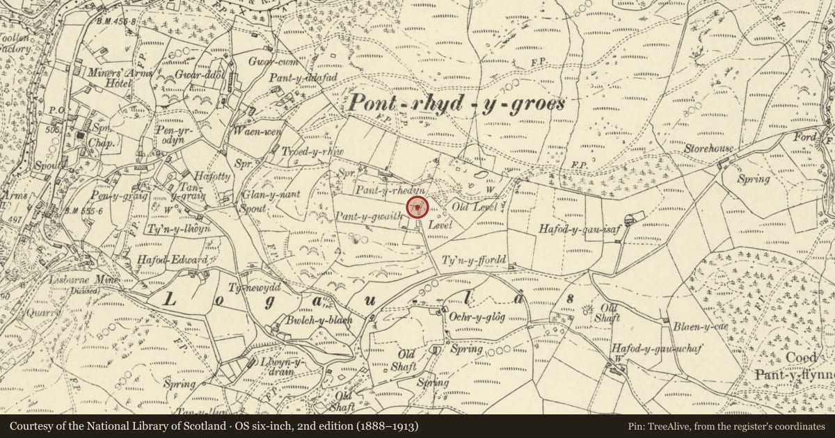 Ordnance Survey six-inch map, 2nd edition (1888–1913) covering the location of Cottage to SE of Pantyrhedyn, Ysbyty Ystwyth, Ceredigion, with a pin at the register's coordinates