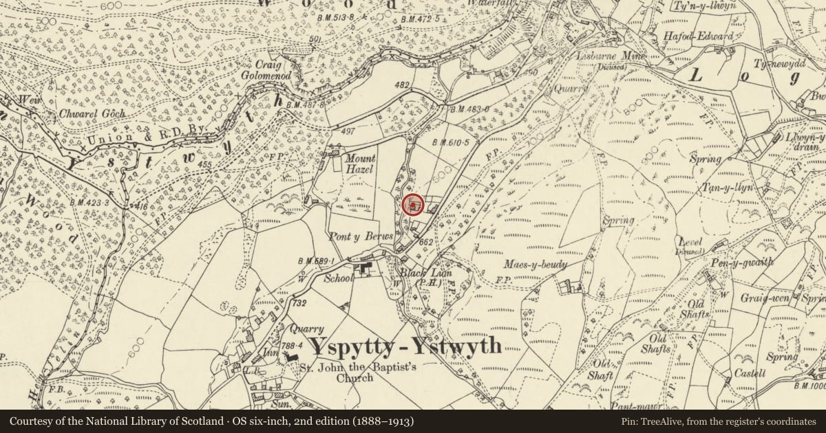 Ordnance Survey six-inch map, 2nd edition (1888–1913) covering the location of Glyn Berws, Ysbyty Ystwyth, Ceredigion, with a pin at the register's coordinates