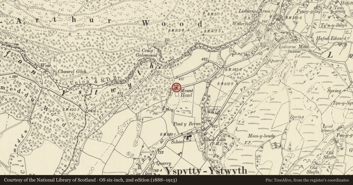 Ordnance Survey six-inch map, 2nd edition (1888–1913) covering the location of Mount Hazel, Ysbyty Ystwyth, Ceredigion, with a pin at the register's coordinates