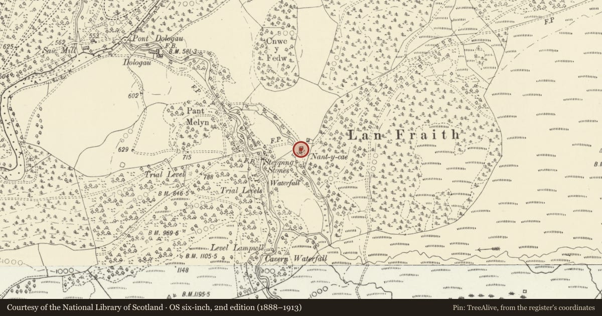 Ordnance Survey six-inch map, 2nd edition (1888–1913) covering the location of Nantycae, Ysbyty Ystwyth, Ceredigion, with a pin at the register's coordinates