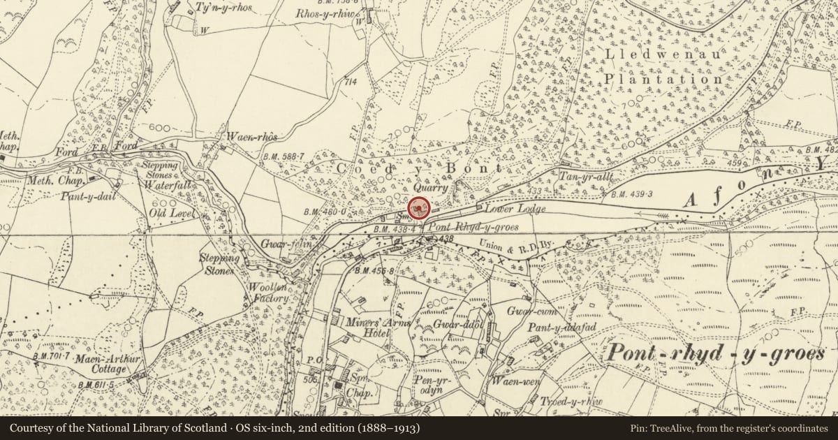 Ordnance Survey six-inch map, 2nd edition (1888–1913) covering the location of Outbuilding at Ystwyth Villa, Ysbyty Ystwyth, Ceredigion, with a pin at the register's coordinates