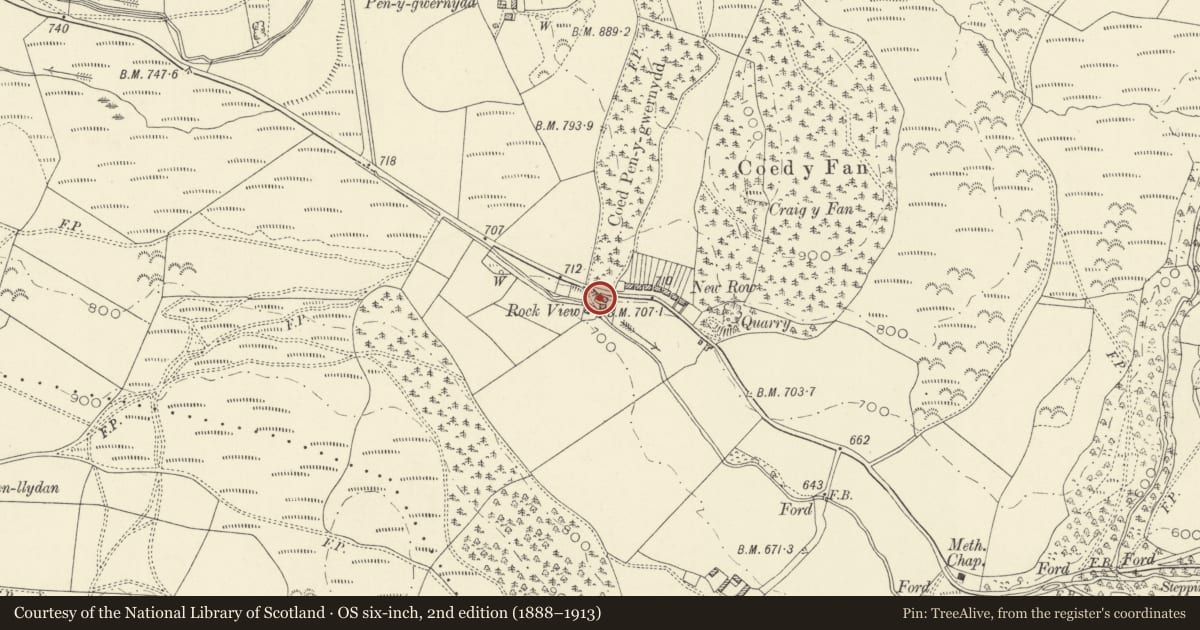 Ordnance Survey six-inch map, 2nd edition (1888–1913) covering the location of Rockview, Ysbyty Ystwyth, Ceredigion, with a pin at the register's coordinates