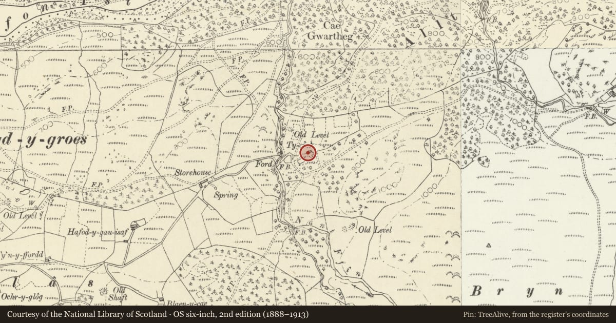 Ordnance Survey six-inch map, 2nd edition (1888–1913) covering the location of Ty Coch, Ysbyty Ystwyth, Ceredigion, with a pin at the register's coordinates