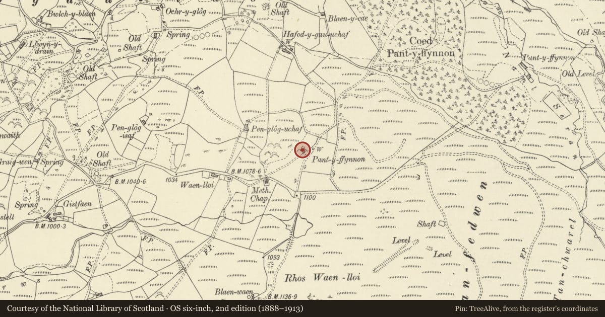 Ordnance Survey six-inch map, 2nd edition (1888–1913) covering the location of Ysgoldy y Banc, Ysbyty Ystwyth, Ceredigion, with a pin at the register's coordinates