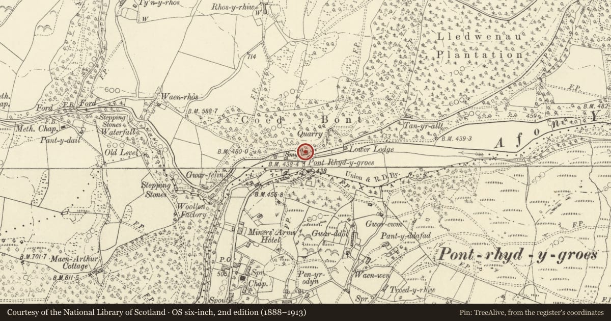 Ordnance Survey six-inch map, 2nd edition (1888–1913) covering the location of Ystwyth Villa, Ysbyty Ystwyth, Ceredigion, with a pin at the register's coordinates