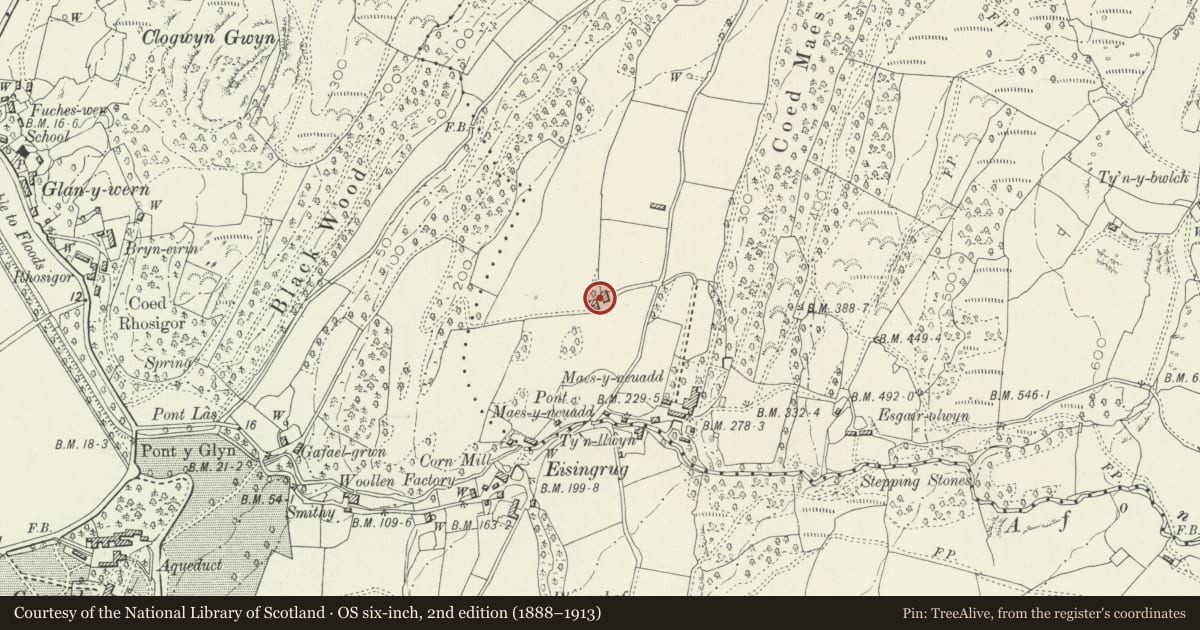 Ordnance Survey six-inch map, 2nd edition (1888–1913) covering the location of Barn and hammel at Maes y Meillion, Talsarnau, Gwynedd, with a pin at the register's coordinates