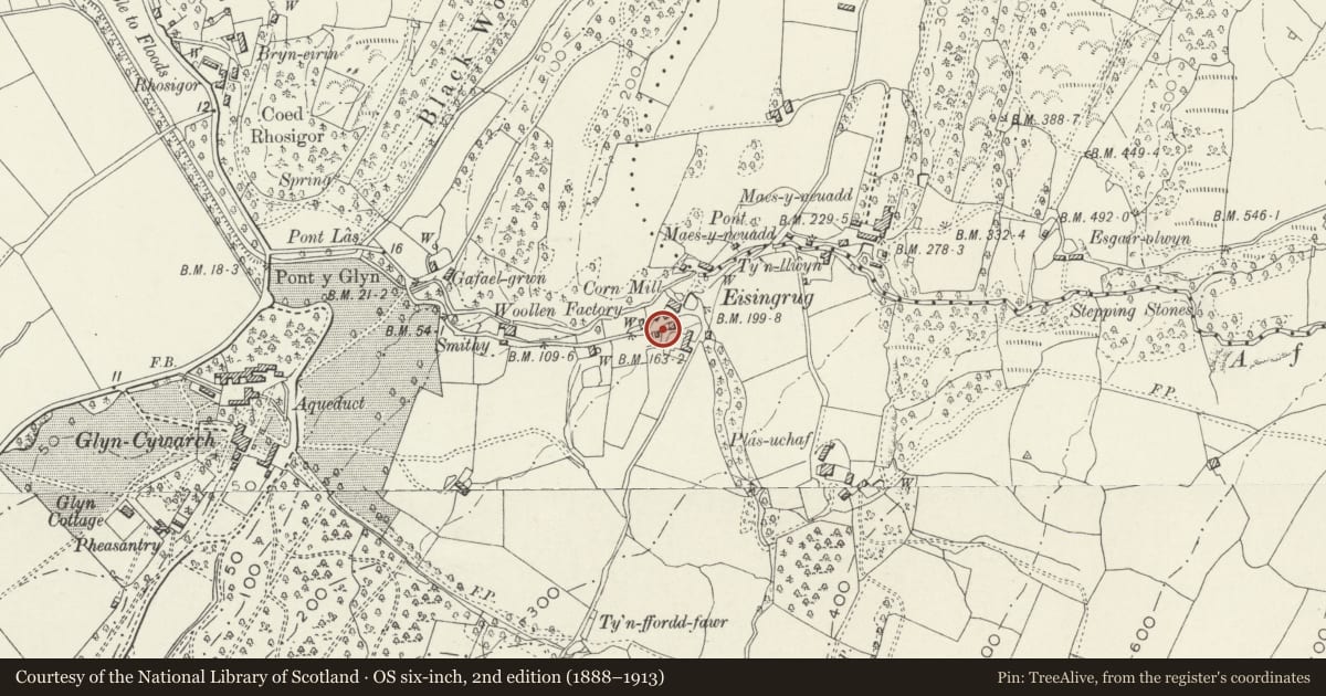 Ordnance Survey six-inch map, 2nd edition (1888–1913) covering the location of Bryn y felin, Talsarnau, Gwynedd, with a pin at the register's coordinates