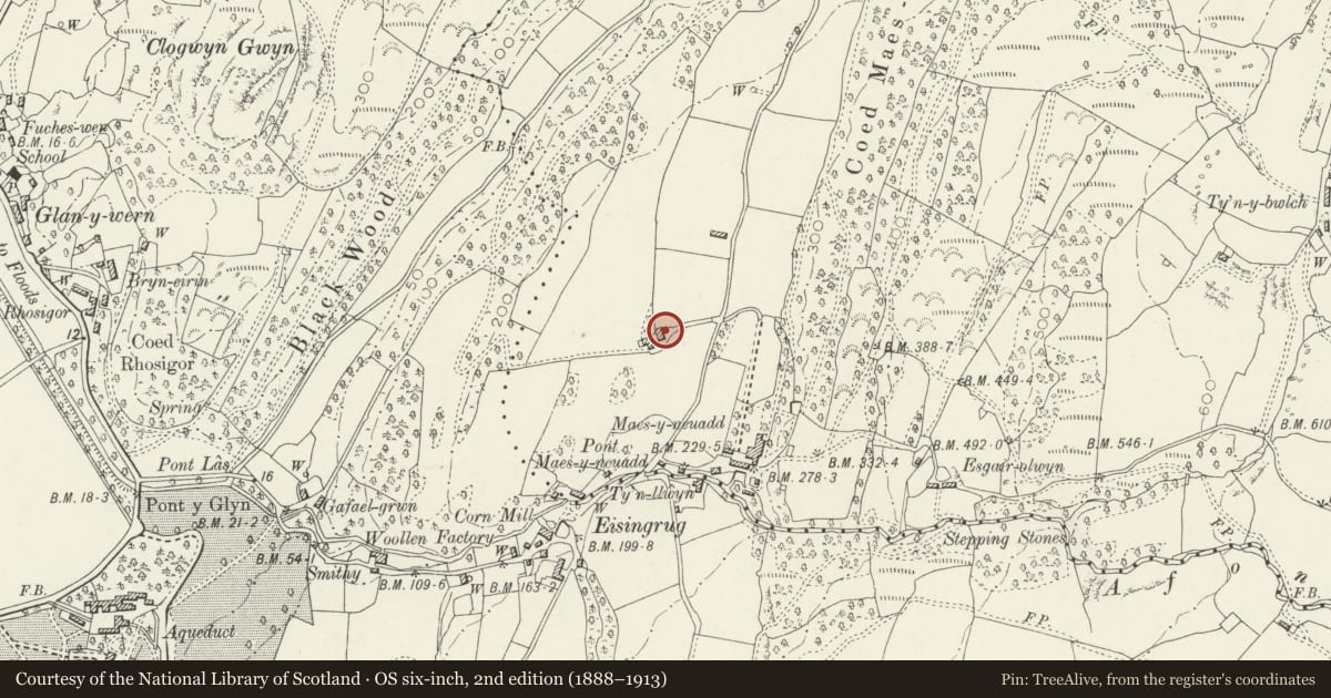 Ordnance Survey six-inch map, 2nd edition (1888–1913) covering the location of Cowhouse at Maes y Meillion, Talsarnau, Gwynedd, with a pin at the register's coordinates
