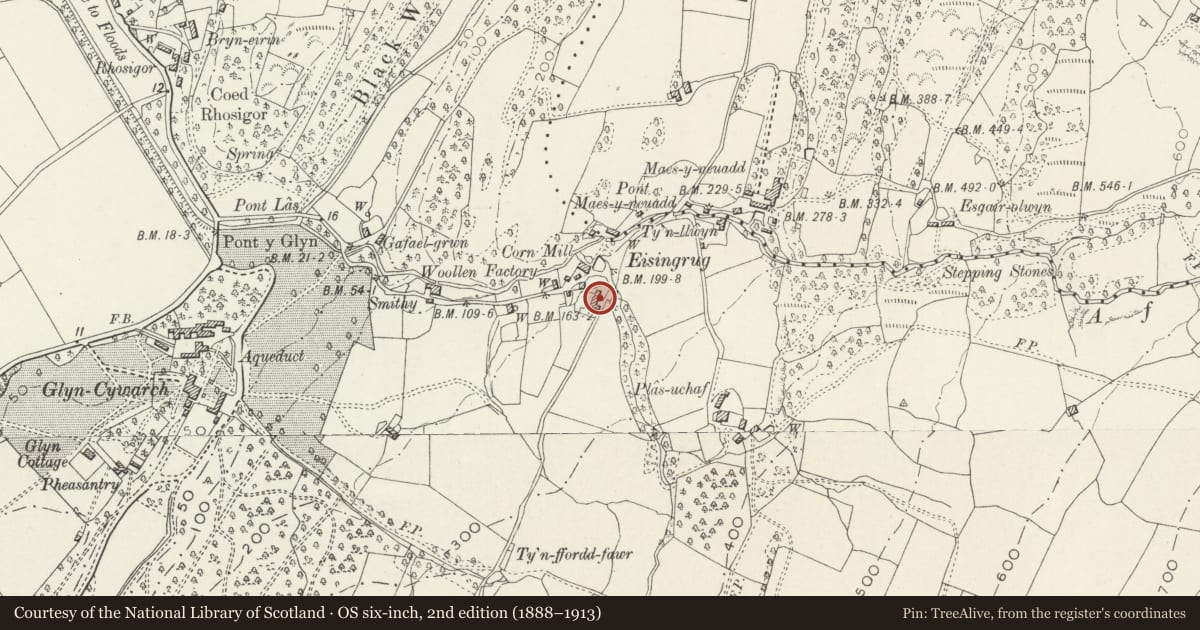 Ordnance Survey six-inch map, 2nd edition (1888–1913) covering the location of Eisingrug, Talsarnau, Gwynedd, with a pin at the register's coordinates