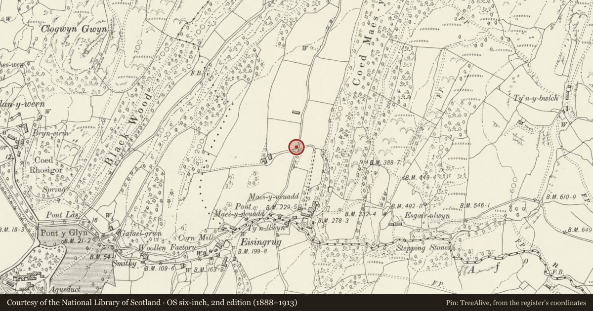 Ordnance Survey six-inch map, 2nd edition (1888–1913) covering the location of Gateposts and flanking wall at Maes y Meillion, Talsarnau, Gwynedd, with a pin at the register's coordinates