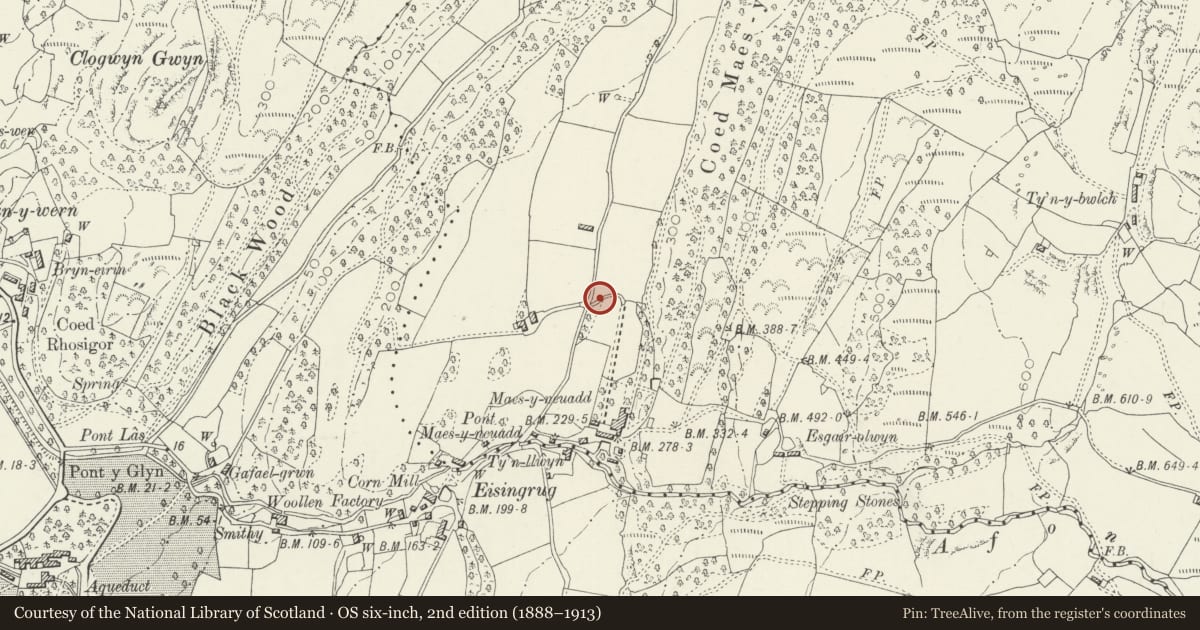 Ordnance Survey six-inch map, 2nd edition (1888–1913) covering the location of Gateposts and flanking walls at Maes-y-neuadd, Talsarnau, Gwynedd, with a pin at the register's coordinates