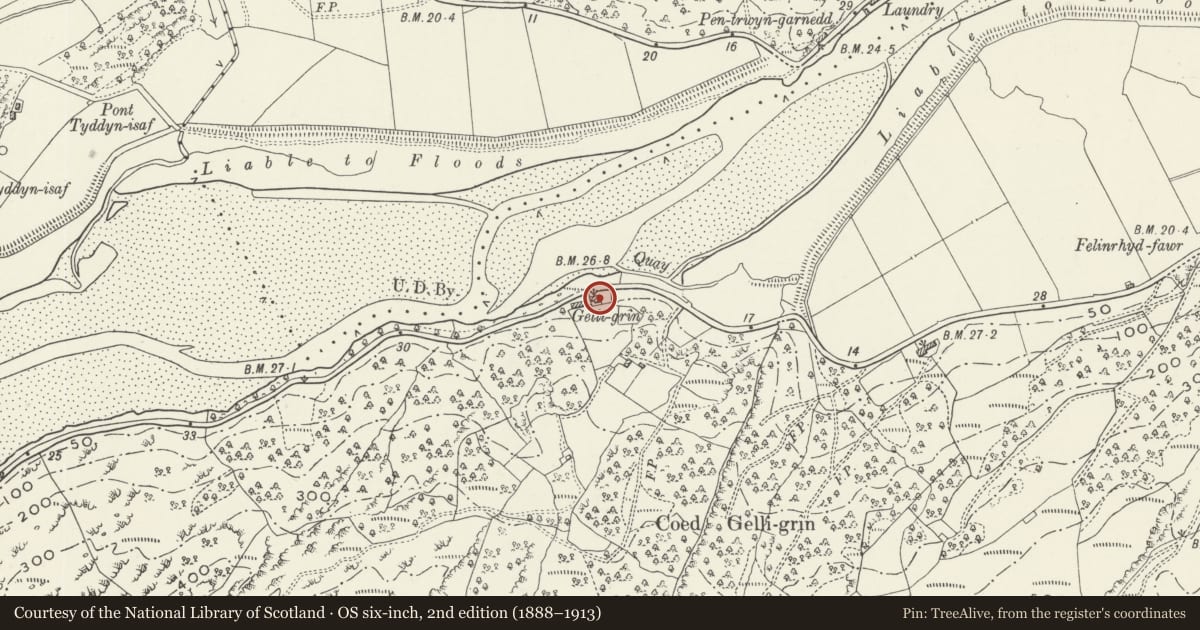 Ordnance Survey six-inch map, 2nd edition (1888–1913) covering the location of Gelli Grin, Talsarnau, Gwynedd, with a pin at the register's coordinates