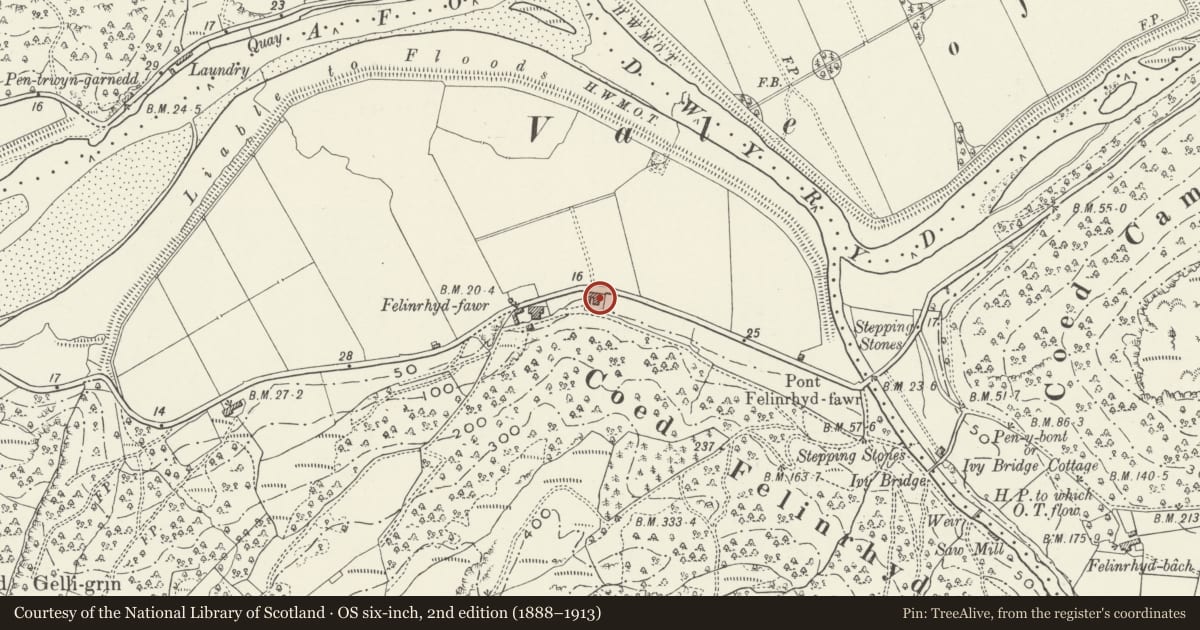 Ordnance Survey six-inch map, 2nd edition (1888–1913) covering the location of Haybarn (E) at Felinrhyd-fawr, Talsarnau, Gwynedd, with a pin at the register's coordinates