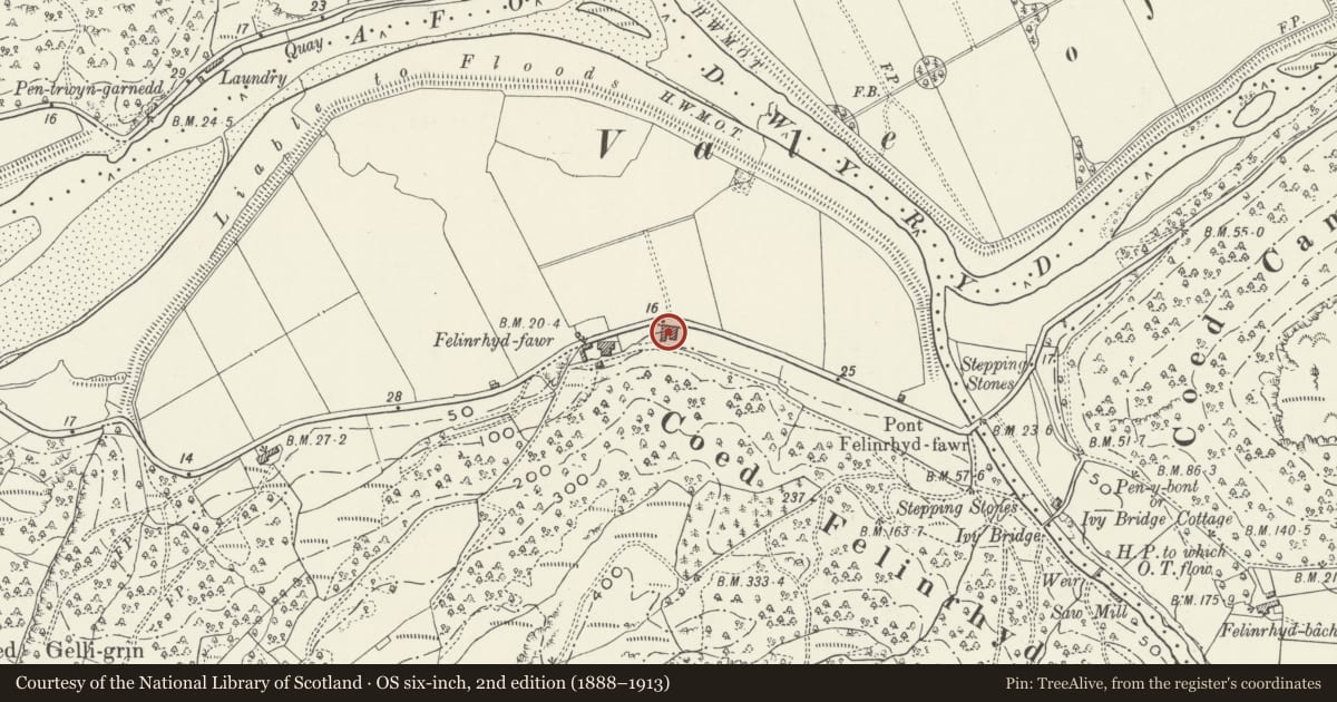 Ordnance Survey six-inch map, 2nd edition (1888–1913) covering the location of Haybarn (W) at Felinrhyd-fawr, Talsarnau, Gwynedd, with a pin at the register's coordinates