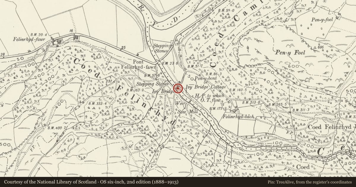 Ordnance Survey six-inch map, 2nd edition (1888–1913) covering the location of Ivy Bridge (that part in Talsarnau Community), Gwynedd, with a pin at the register's coordinates