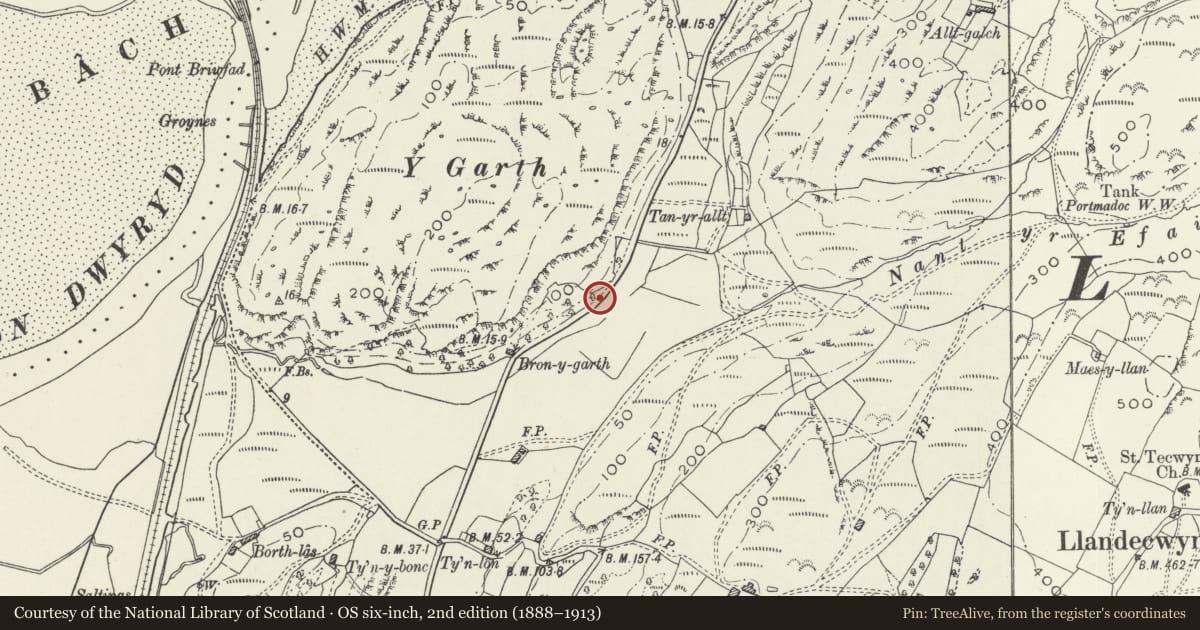 Ordnance Survey six-inch map, 2nd edition (1888–1913) covering the location of Milepost to N of Llandecwyn, Talsarnau, Gwynedd, with a pin at the register's coordinates