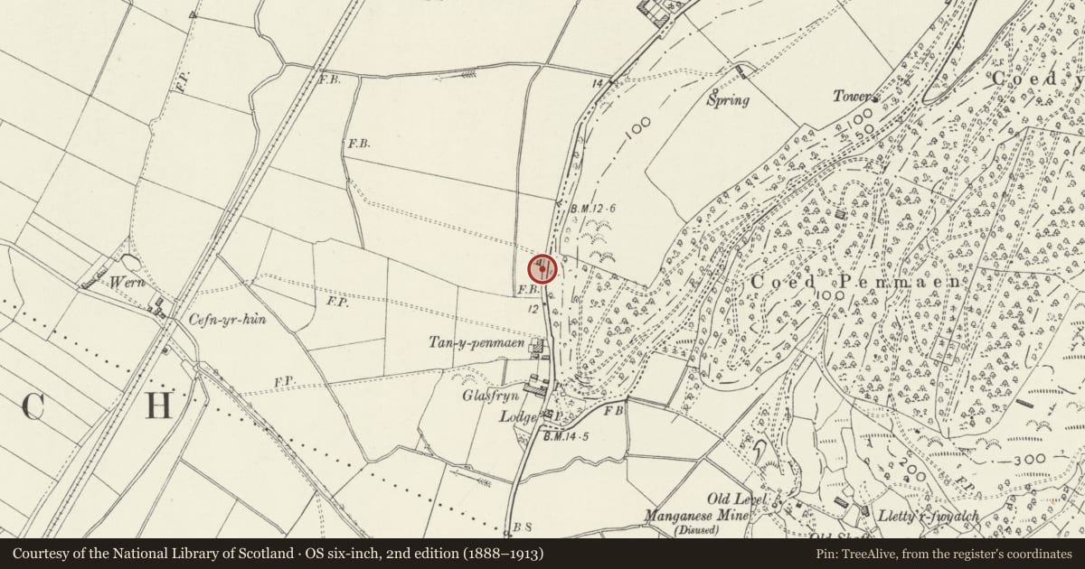 Ordnance Survey six-inch map, 2nd edition (1888–1913) covering the location of Milepost to N of Tan-y-penmaen, Talsarnau, Gwynedd, with a pin at the register's coordinates
