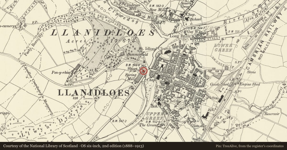 Ordnance Survey six-inch map, 2nd edition (1888–1913) covering the location of Brynhafren, Llanidloes, Powys, with a pin at the register's coordinates