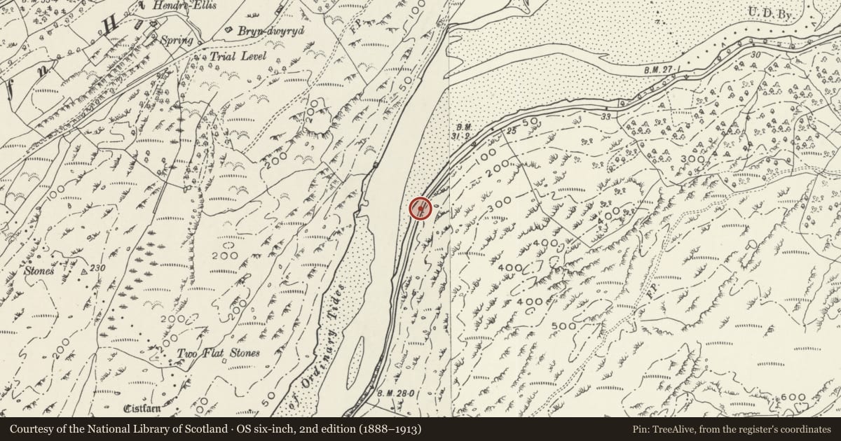Ordnance Survey six-inch map, 2nd edition (1888–1913) covering the location of Milepost to NNE of Cei Newydd, Talsarnau, Gwynedd, with a pin at the register's coordinates