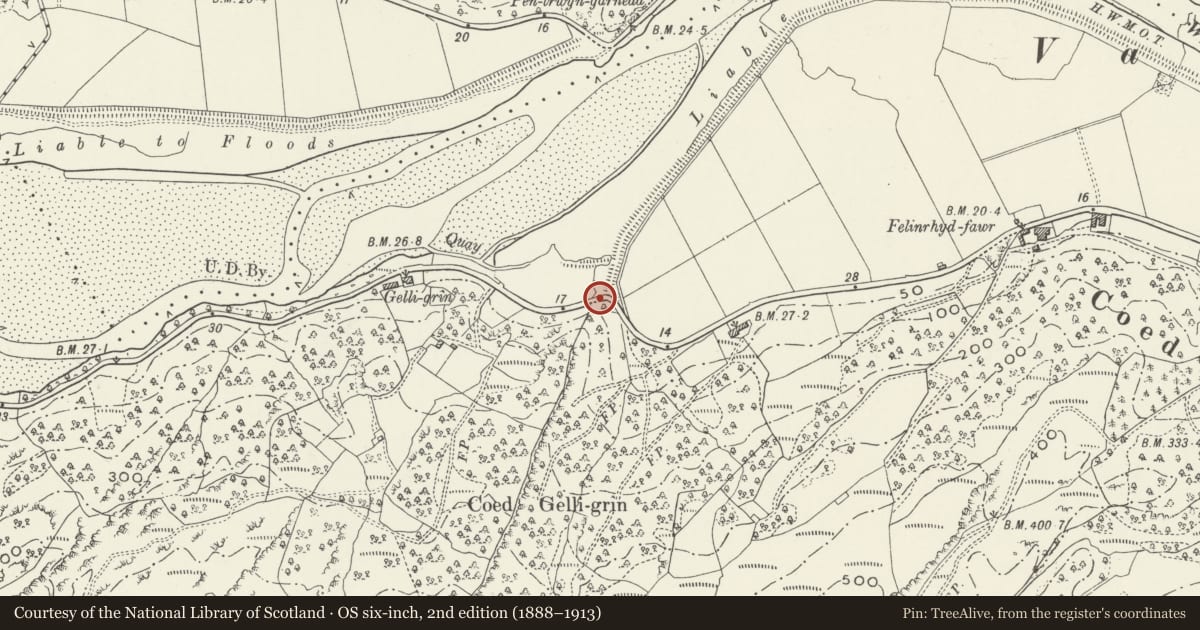 Ordnance Survey six-inch map, 2nd edition (1888–1913) covering the location of Milespost to E of Gelli Grin, Talsarnau, Gwynedd, with a pin at the register's coordinates