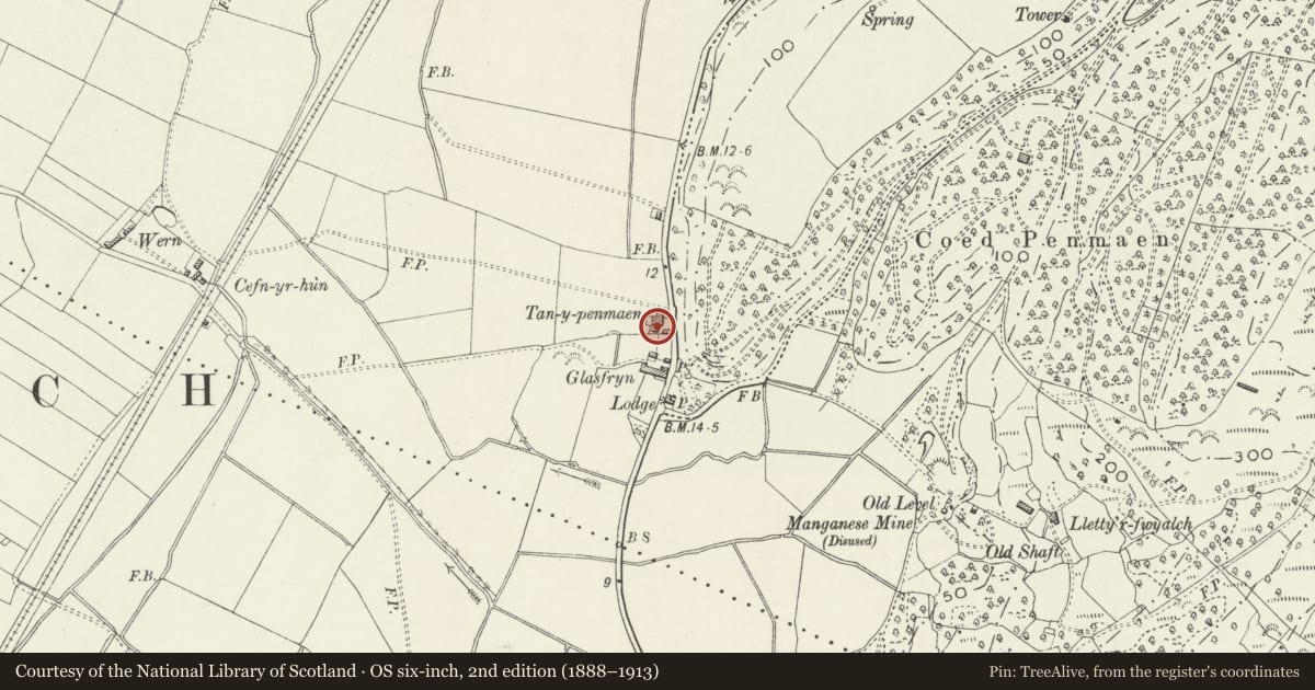 Ordnance Survey six-inch map, 2nd edition (1888–1913) covering the location of Brewhouse at Tan-y-penmaen, Talsarnau, Gwynedd, with a pin at the register's coordinates