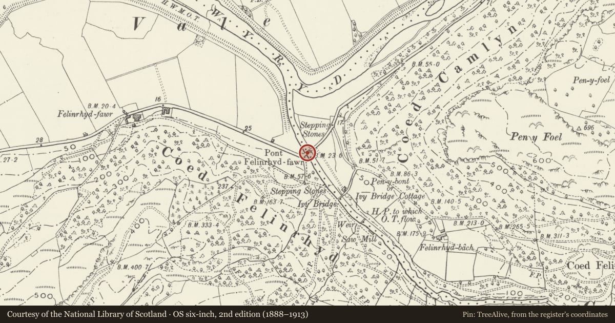 Ordnance Survey six-inch map, 2nd edition (1888–1913) covering the location of Pont Felinrhyd-fawr (that part in Talsarnau Community), Gwynedd, with a pin at the register's coordinates